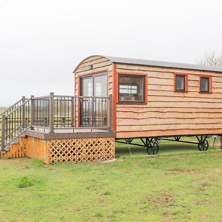 Tal Sarn Shepherd Hut Llanfairpwllgwyngyll Exterior photo